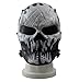 Everlife Shop CS Protective Mask Halloween Airsoft Paintball Tactical Full Face Masquerade Skull Skeleton Mask (Black/White)