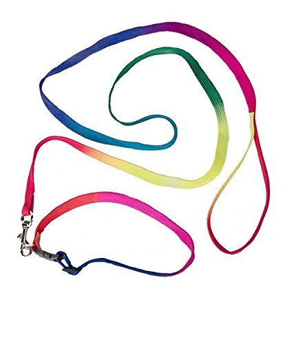 Teddy Mountain Rainbow Dog Collar and Leash - Make a Teddy Bear, Fits 8 to 16 Dogs