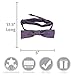 elope Fantastic Beasts Newt Scamander Costume Bow Tie for Adults and Teens Standard