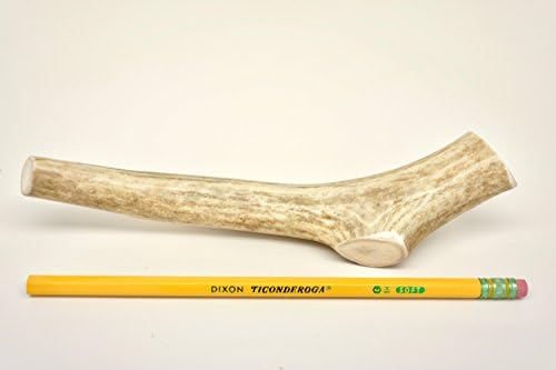 ONE (1) Medium Deer Antler Bone Chew for Dogs Puppy under 40 pounds, 6" - 8" long, antler dog chew weighs between 2.5 - 4 ounces each, Natural raw diet grade A premium elk deer antler bone horn