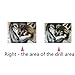 Wolf 5D Diamond Painting by Number Kit, Staron DIY Diamond Embroidery Painting Cross Stitch Kit 5D Diamond Crystal Rhinestone Embroidery Painting DIY Art Craft Canvas Wall Decor (Wolf Lover 2❤️)