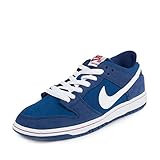 Nike Men's Dunk Low Pro IW Skate Shoe