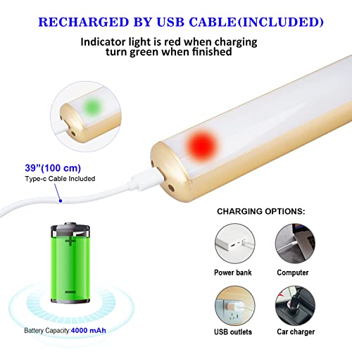 ZOCALOK Rechargeable Picture Light, Cordless Picture Light for