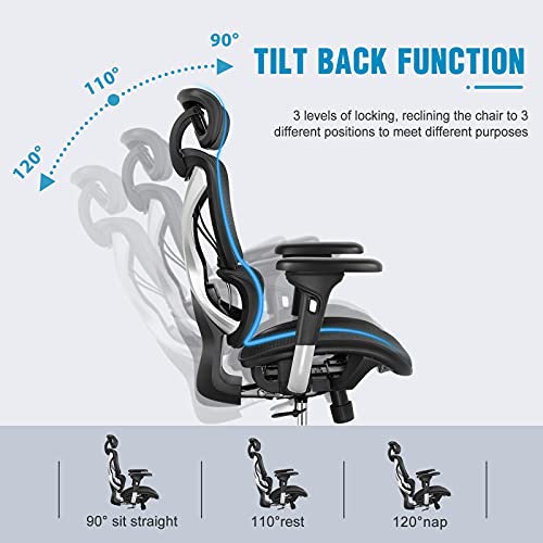 Gabrylly Ergonomic Office Chair, Large Mesh Chair with Lumbar Support