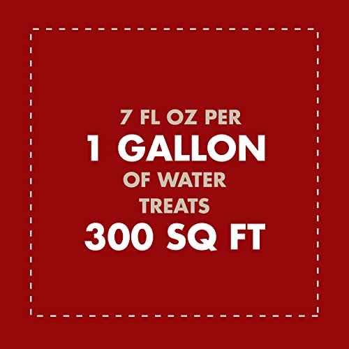 Spectracide Weed & Grass Killer Concentrate, Use On Driveways, Walkways