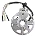 Carbhub Sportsman 90 Stator for Polaris ATV Sportsman 90 Stator 2001 2002 2003 2004 2005 2006 Magneto