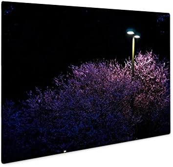 Ashley Giclee Metal Panel Print, Street Lamp Over Blooming Cherry Tree, Wall Art Decor, Floating Frame, Ready to Hang 16x20, AG6540628