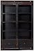 Coaster Home Furnishings Rowan Carved Combination Bookcases, Chestnut and Black