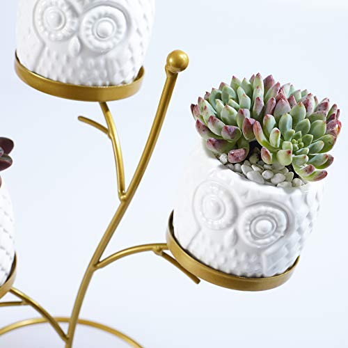 FLOWERPLUS Small Owl Succulent Planter Pots, 3 Pack 2.75 Inch White Ceramic Decorative Cactus Flower Plant Pot with Tree Tier Metal Stand for Indoor Outdoor Home Office Garden Kitchen Décor (3PP024)