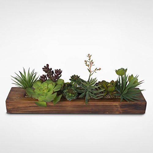 Decorative Succulent Arrangement in Pine Wood Rectangle Planter | 6 Inches x 7 Inches x 24 Inches