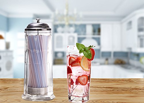 Palais Glassware Glass Straw Dispenser with Chrome Base & Cover, 11" High