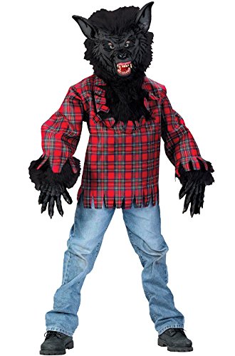 Fun World Costumes Men's Teen Wolf Costume