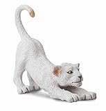CollectA Wildlife White Lion Cub (Stretching) Miniature Toy Figure - Authentic Hand Painted Model