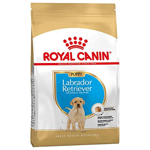 amazon royal canin labrador