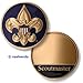 Boy Scouts Scoutmaster Award Coin