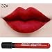 Silvercell Long Lasting Waterproof Lipstick Matte Lipstick Lip Gloss 6Pcs