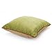 DOZZZ Set of 2 Premium Hypoallergenic Stuffer Pillow Insert Sham Square Form Cushion Polyester, 18