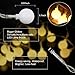 GREEMPIRE LED String Lights, 100 LED Outdoor Globe String Lights Waterproof UL Listed 29V Low Voltage Decorative Lights for Bedroom Party Patio Garden Wedding, 44 Ft, 8 Lighting Modes, Warm White