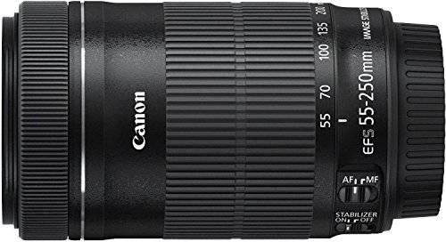 Canon EF-S 55-250mm f/4-5.6 IS STM Telephoto Zoom Lens International Version (No Warranty)