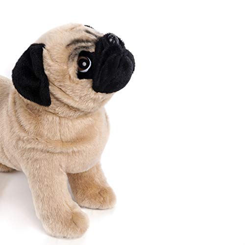 large pug teddy