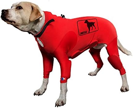 Atleez Compression Padded Suit, Small, Action Red