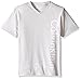 Calvin Klein Boys' Short Sleeve Legacy V-Neck T-Shirt, Light Gray B4046, 5