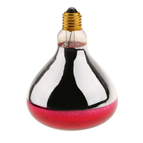 B Blesiya 4 Stück 220V E27 Wärmelampe Wärmespotlampe Infrarotlampe Terrarium Heizung Lampe - Typ 3-100W – Bild 5