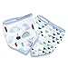 aden by aden + anais bandana bib 2 pack, dinos