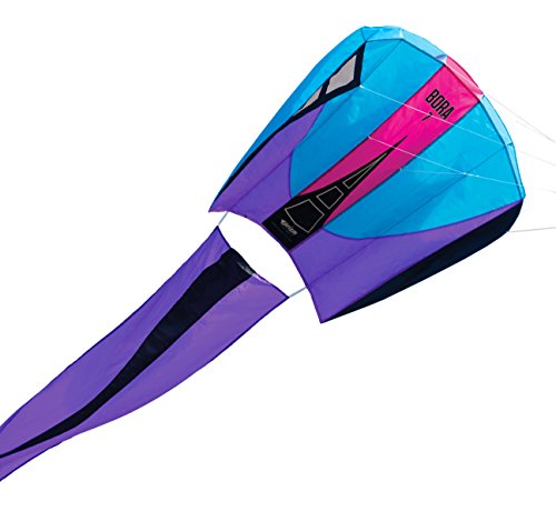 Prism Kites - Bora 5  Single Line Parafoil Kite, Frost