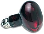 Zoo Med Nocturnal Infrared Incandescent Heat Lamp 150 Watts