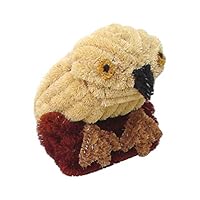 Silk Route Ceylon Owl Pet Scraper Doormat, Coco Fiber; 15 inch by 9 inch