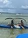 Adventure Canopies Tandem Kayak Sun Shade (Marine Blue, 12 to 13.5' Kayaks/Canoes)
