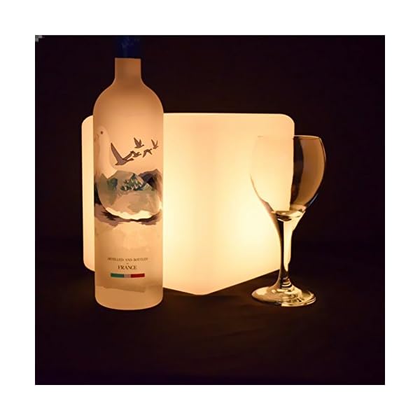 Mr.Go 6-inch LED Ball Light And 10-inch LED Cube Light Bundle, Rechargeable, Remote Control