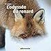 L'odyssée du renard by 