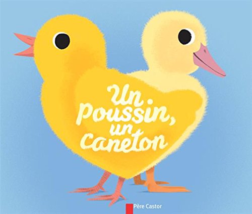 Un  poussin, un caneton