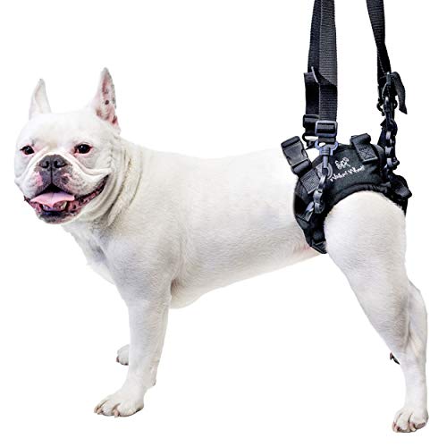 Compare Price hip dysplasia joint harness on