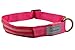 Pet Industries Metal Buckle LED Dog Collar, USB Rechargeable, Available in 7 Colors & 4 Sizes (Large [18.5-23.5