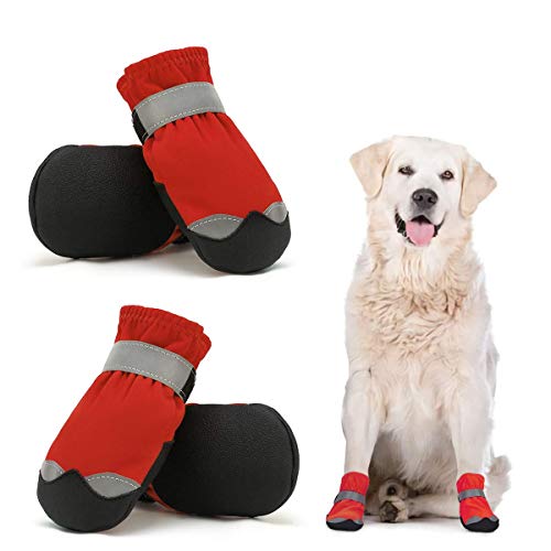 dog boots with straps