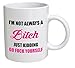 Funny Coffee Mug I'm Not Always A Bitch 11OZ Coffee Mug Novelty, Office, Job