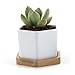 T4U Small White Succulent Planter Pots with Bamboo Tray Hexagon Set of 2, Geometric Ceramic Cactus Plant Holder, Succulent Plant Gifts for Gardener Women Coworker, Home Office Table Desk Decoration