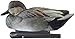 Avian X Topflight Gadwall Decoys Perfectly Replicated Late Season Gray Ducks, Weight Forward Swim Keel, Realistic Movement, Set of 6, Multicolor