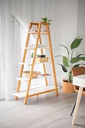Nathan James 62201 Carlie 5-Shelf Ladder