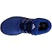 adidas Performance Men's Energy Cloud WTC M Running Shoe, Blue/Collegiate Navy/Black, 13 M US
