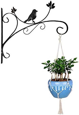 Yuccer Hanging Plant Hook, Flower Basket Bracket Cast Iron Hummingbird Decorative Plant Wall Hanger for Flower Pots Lantern Bird Feeder Wind Chime (Black)