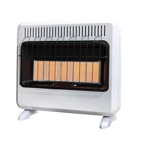 Mr. Heater Dual Fuel Radiant Heater