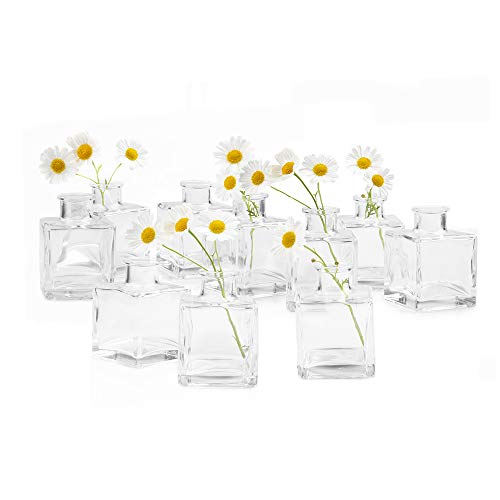 Amazon Com Chive Loft Small Glass Flower Vases Decorative