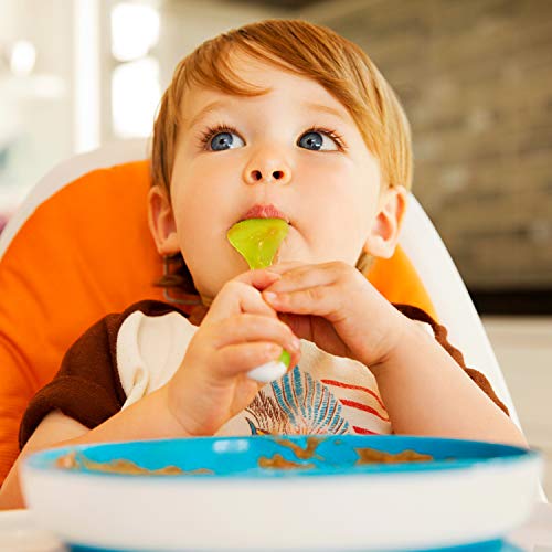 Munchkin-Stay-Put-Divided-Suction-Plates-BlueGreen