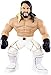 WWE 3 Count Crushers Seth Rollins The Undertaker Figure