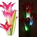 outdoor solar flowers，Solar Garden Outdoor Decorative Landscape Lily Flower Light Color Changing Energy Saving LED Lamp