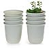 T4U 5.75 Inch Plastic Round Plant Pot/Cactus Flower Pot/Container Grey Set of 8,Seeding Nursery Planter Pot with Drainage for Flowers Herbs African Violets Succulents Orchid Cactus Indoor Outdoor